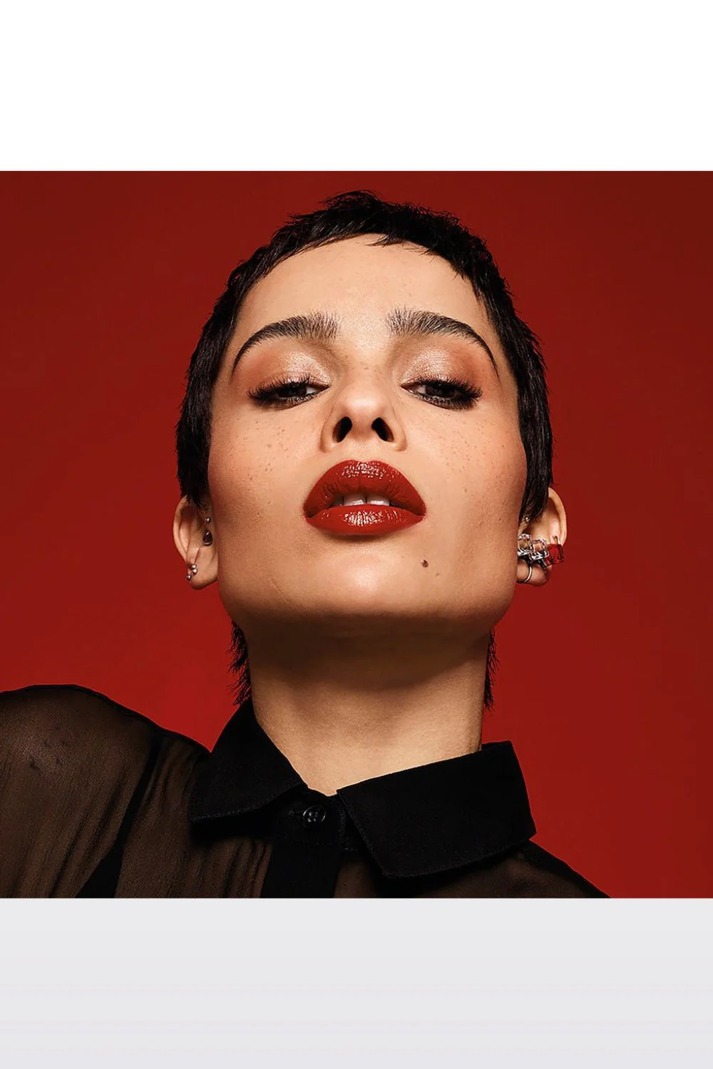 תמונה ממוזערת 18