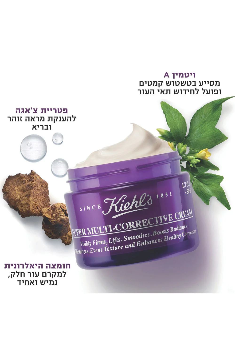 תמונה ממוזערת 2