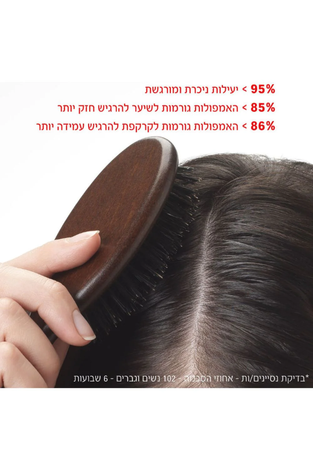 תמונה ממוזערת 2