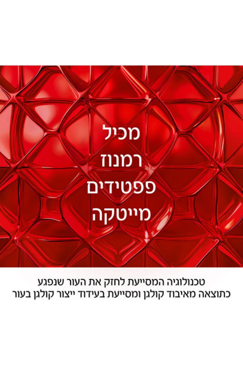 תמונה ממוזערת 3