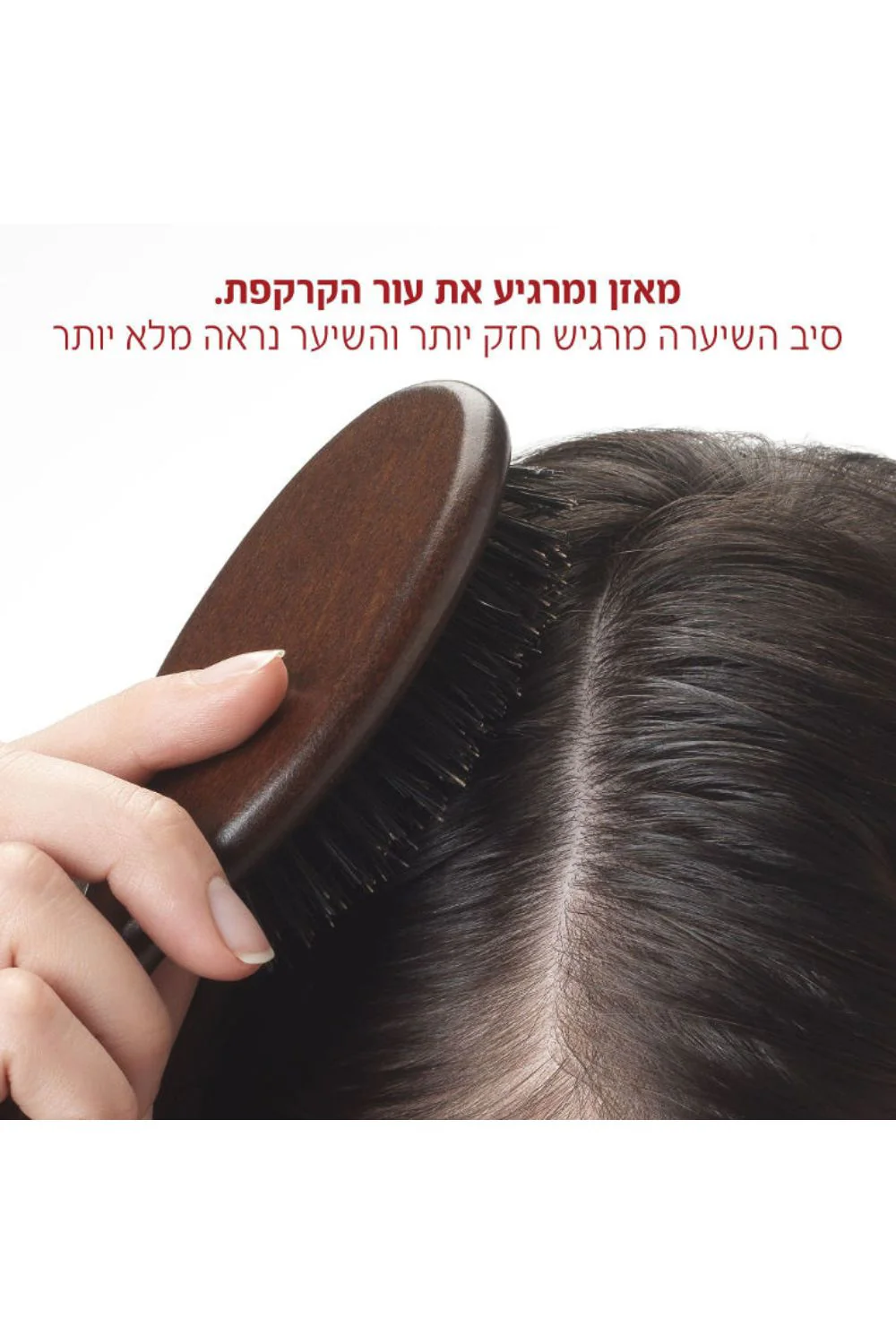 תמונה ממוזערת 2