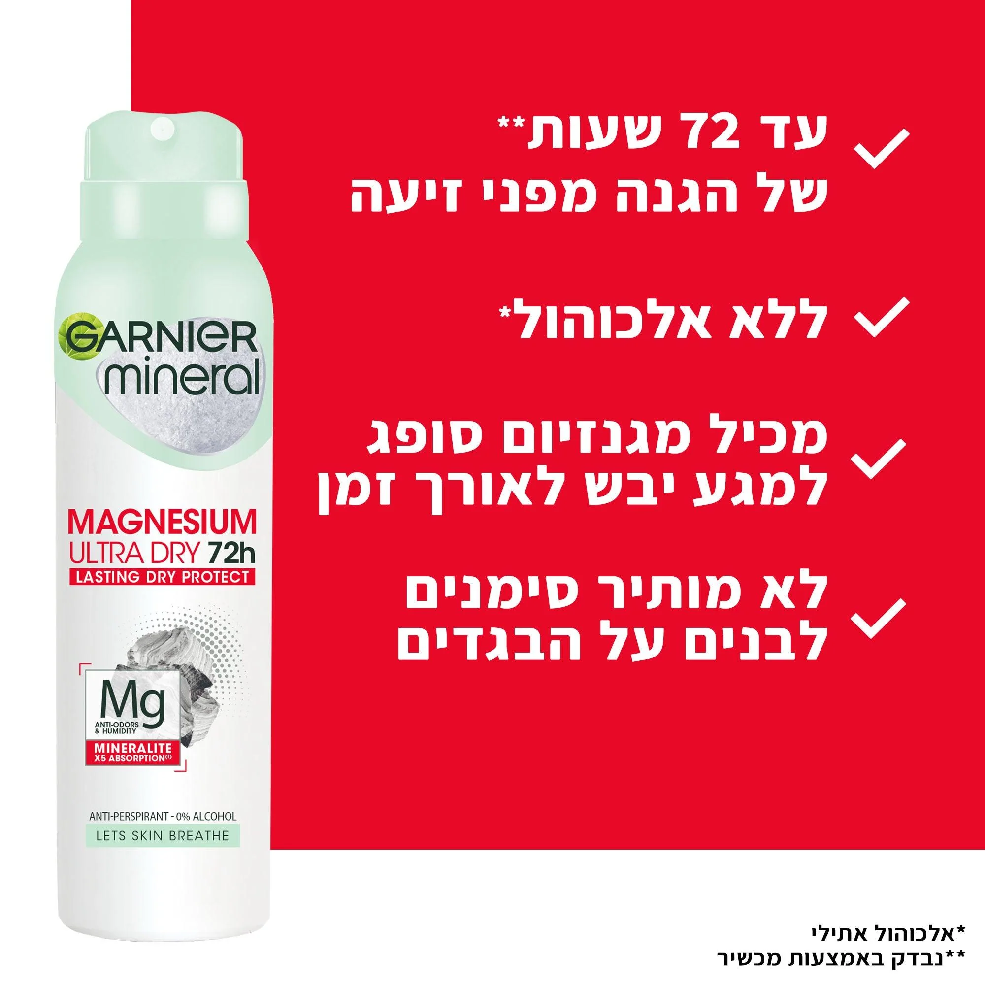 תמונה ממוזערת 3