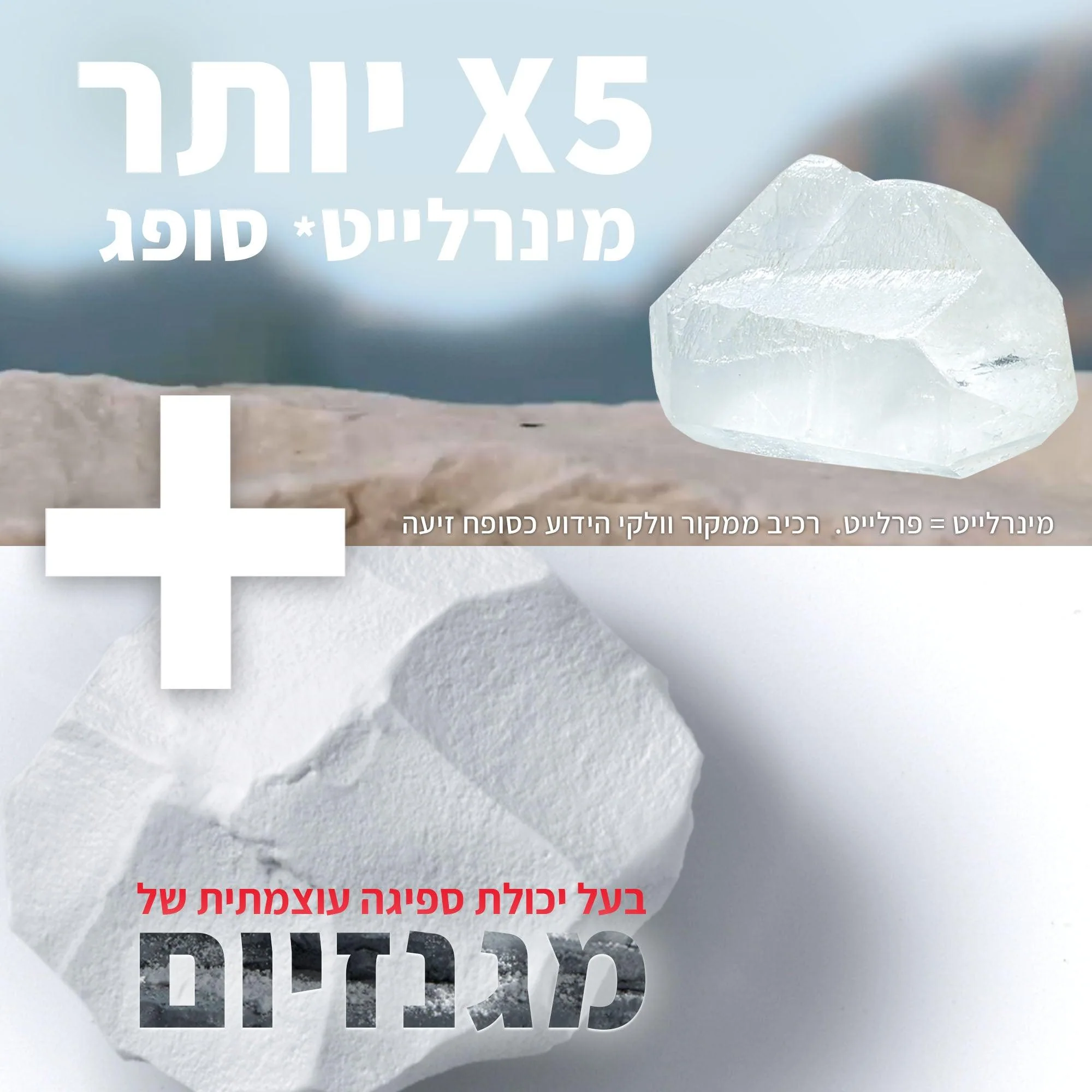תמונה ממוזערת 5
