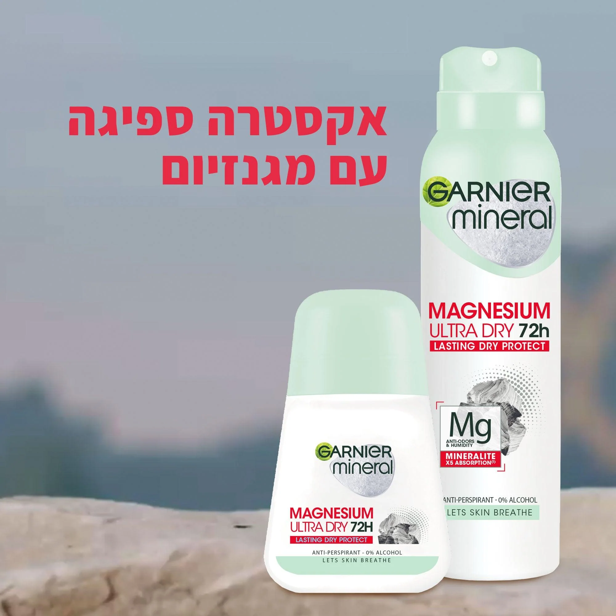 תמונה ממוזערת 6