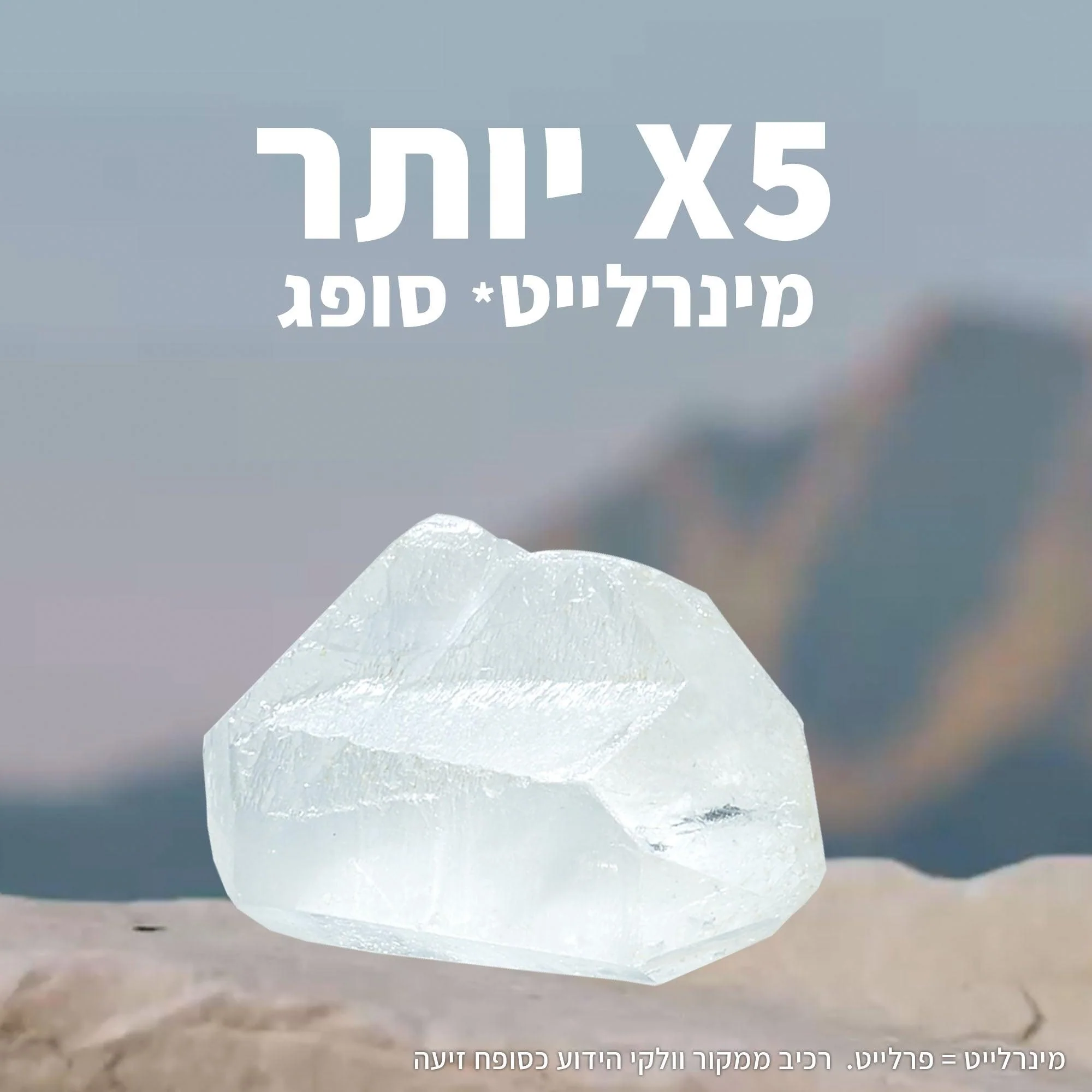תמונה ממוזערת 5