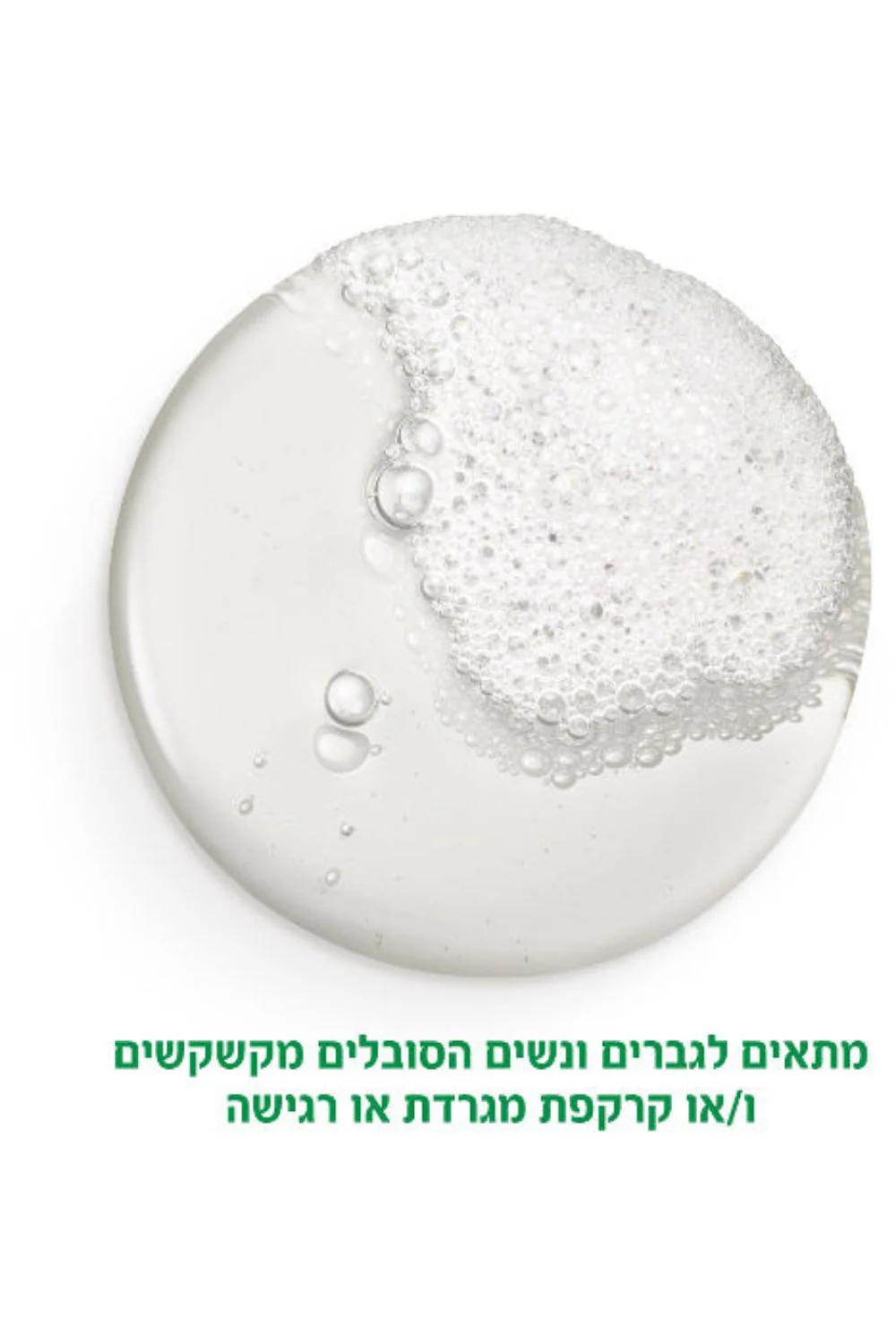 תמונה ממוזערת 2