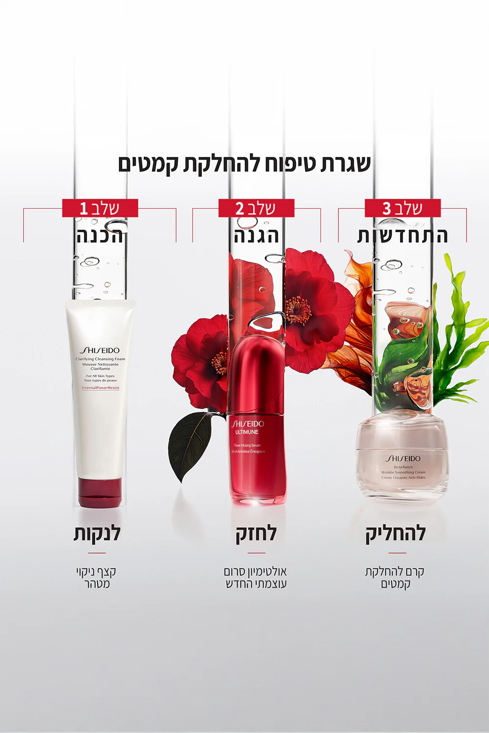תמונה ממוזערת 3