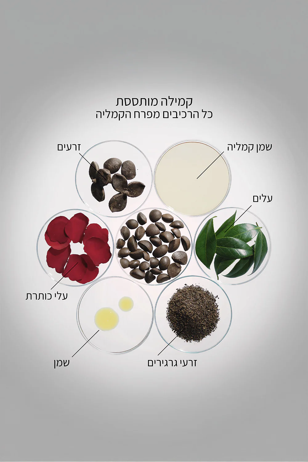 תמונה ממוזערת 4