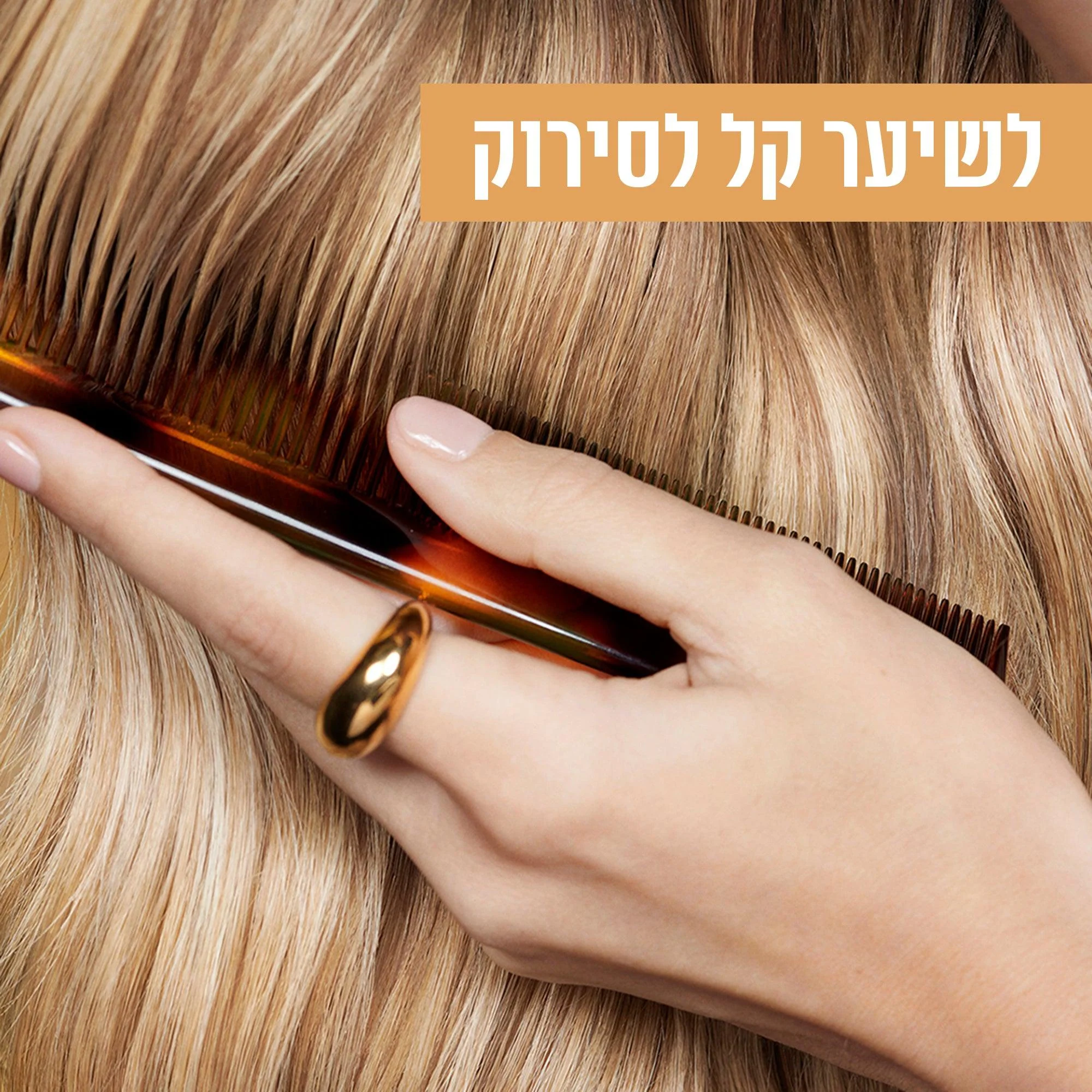 תמונה ממוזערת 5