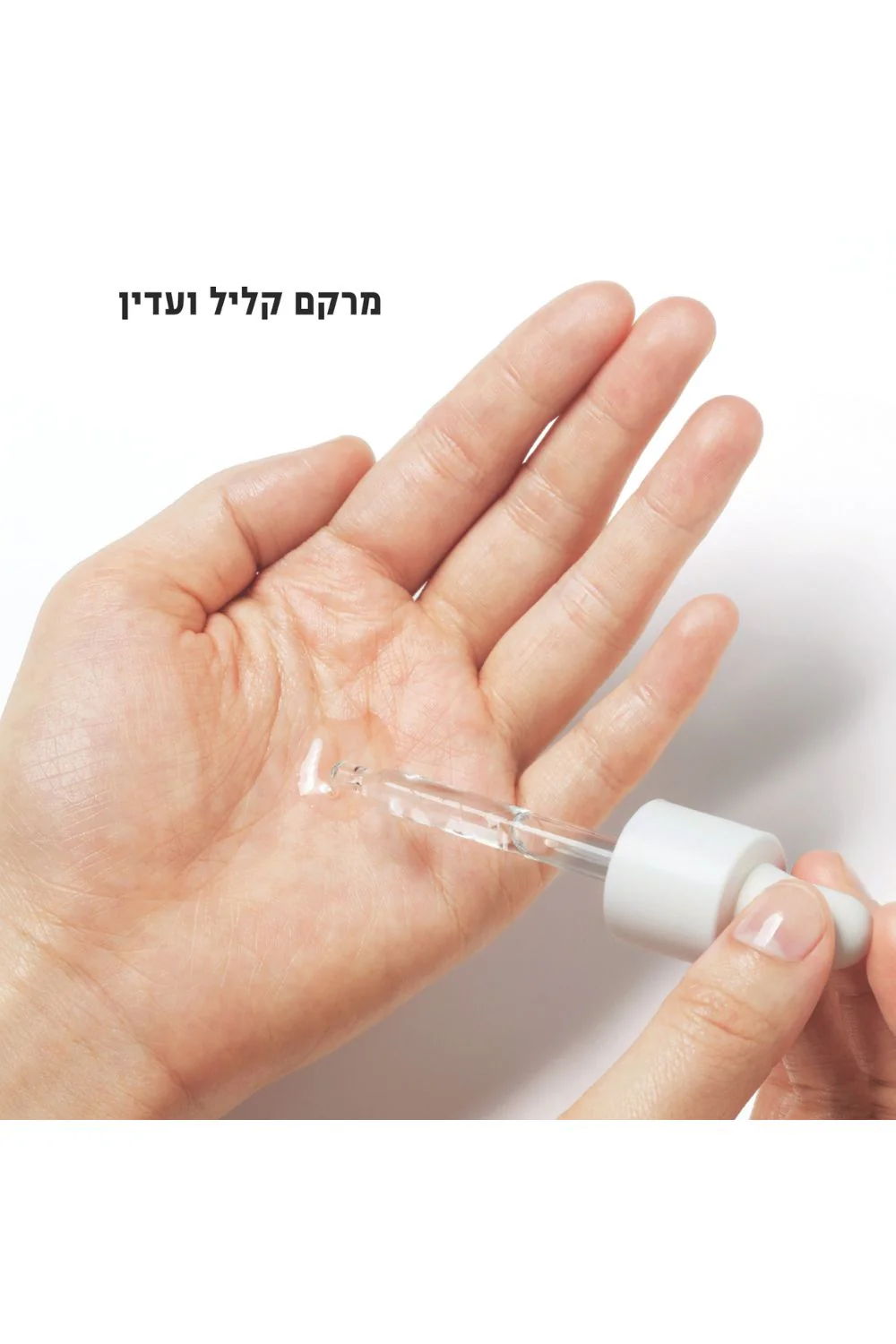 תמונה ממוזערת 4