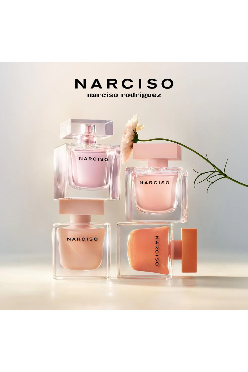 תמונה ממוזערת 4