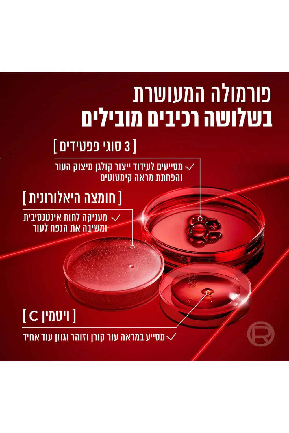 תמונה ממוזערת 5
