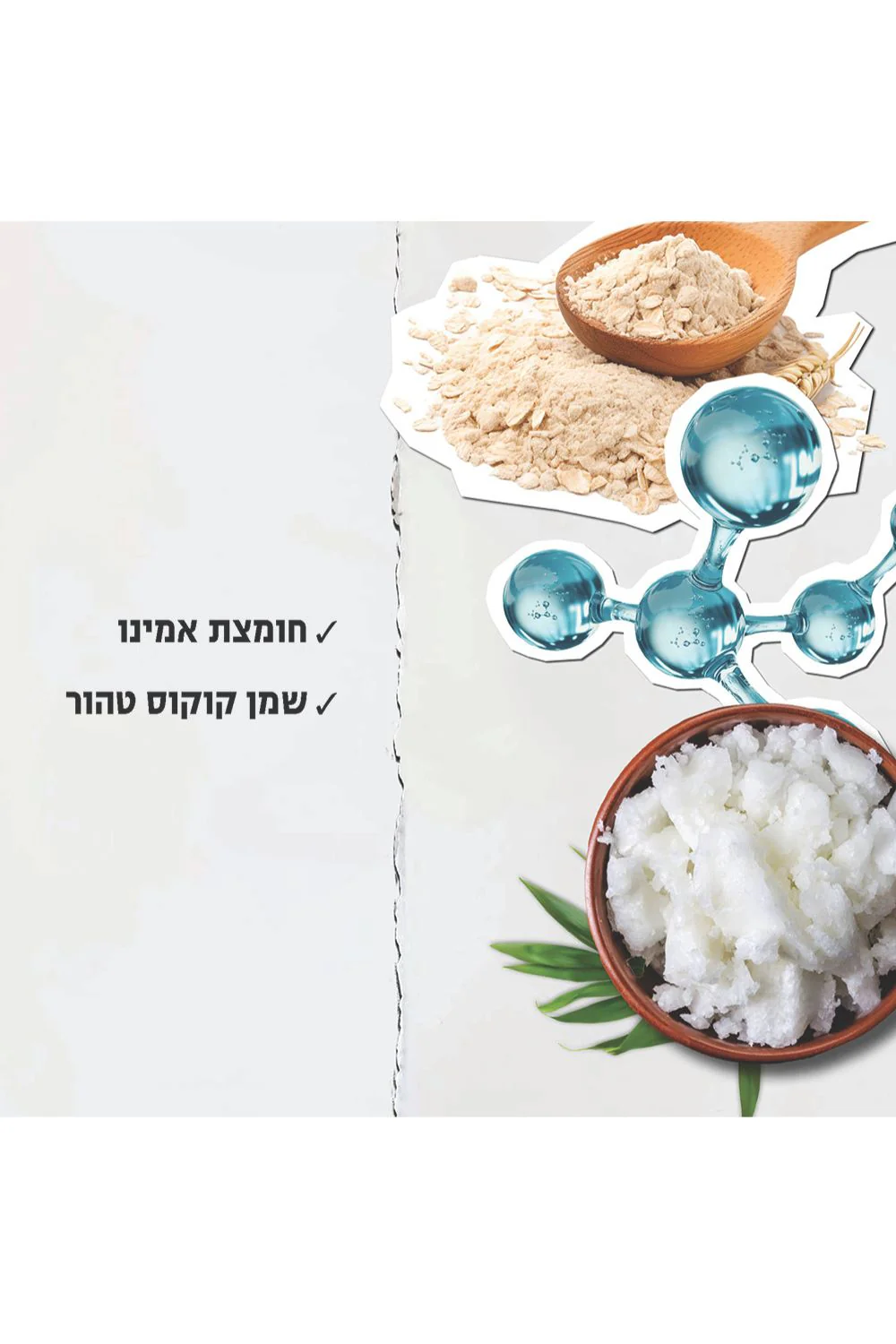 תמונה ממוזערת 2