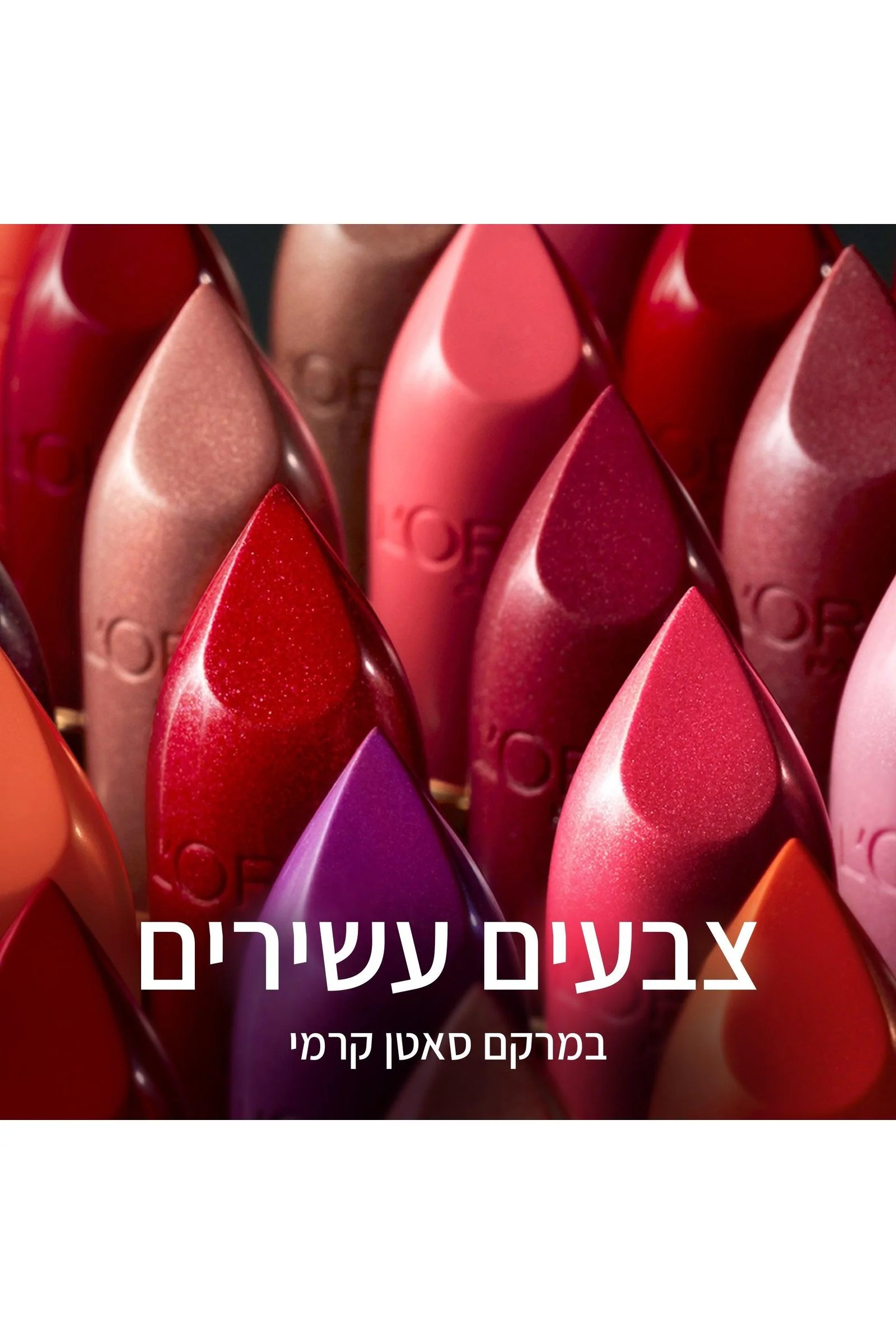 תמונה ממוזערת 24