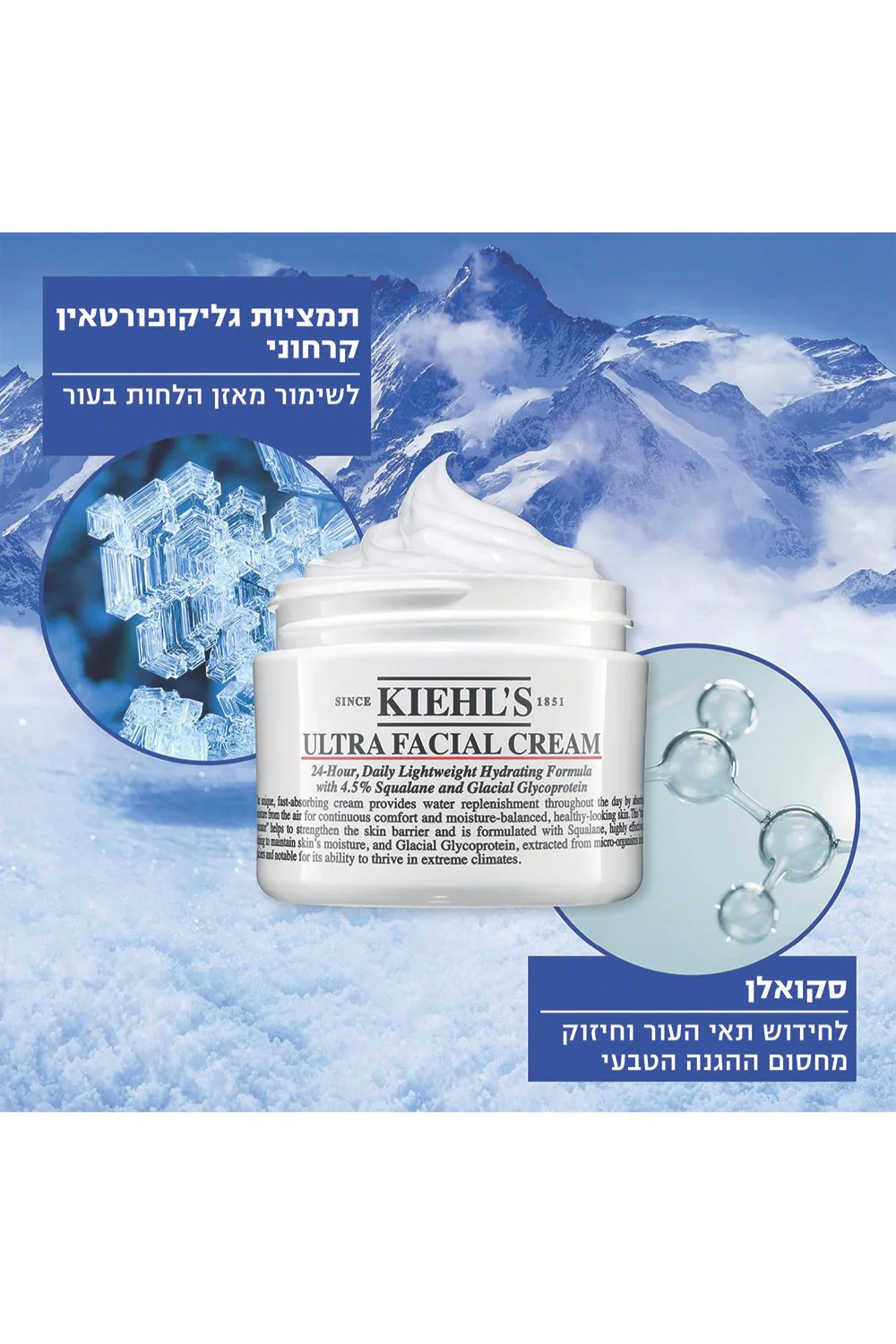 תמונה ממוזערת 2