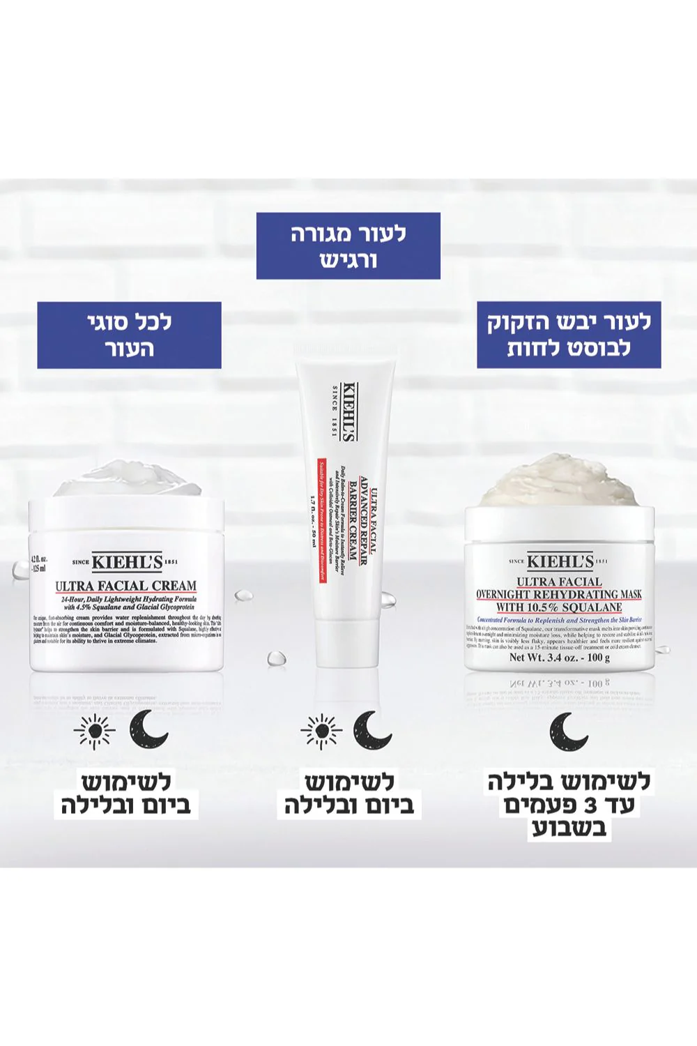 תמונה ממוזערת 3