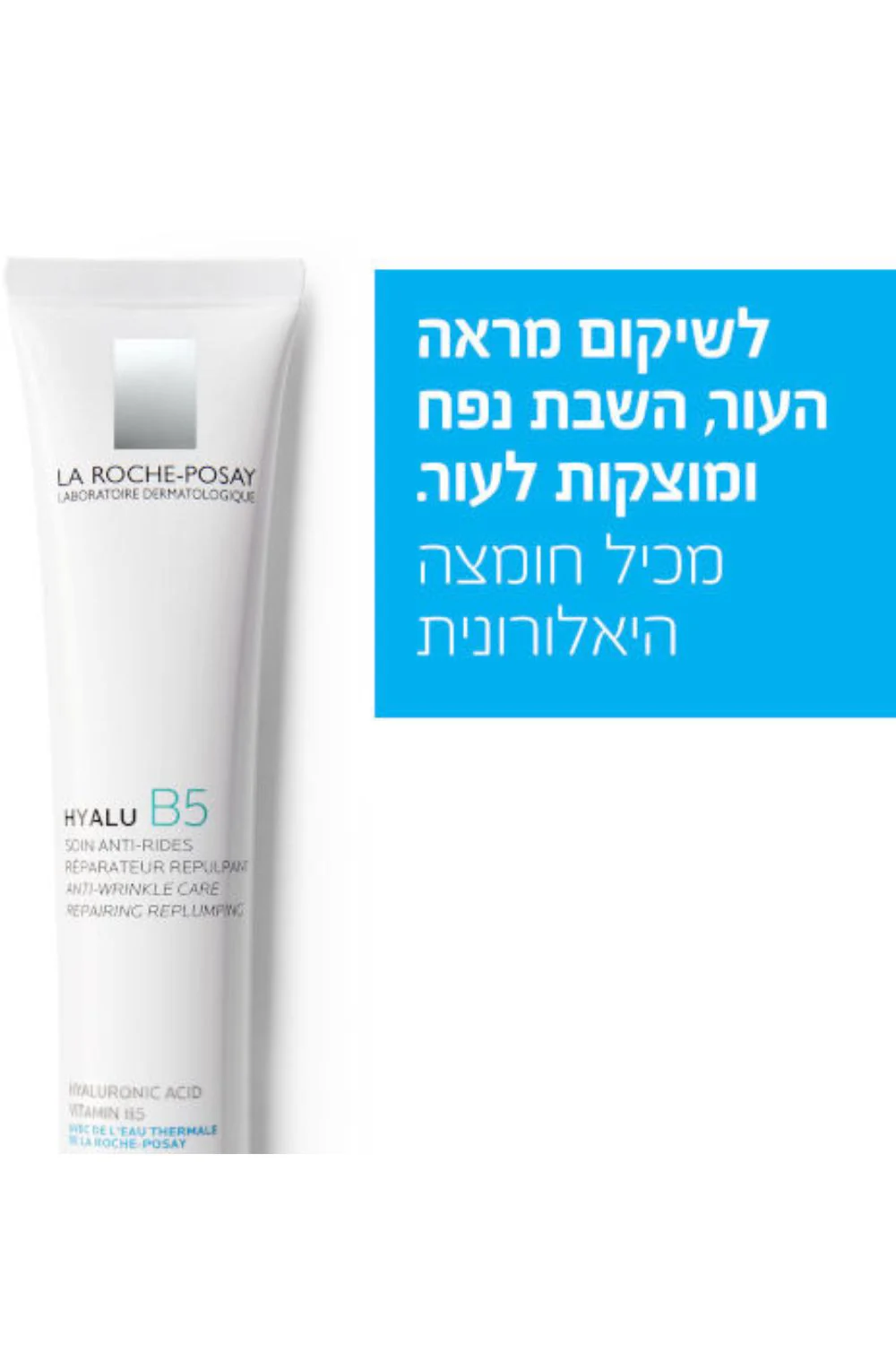 תמונה ממוזערת 2