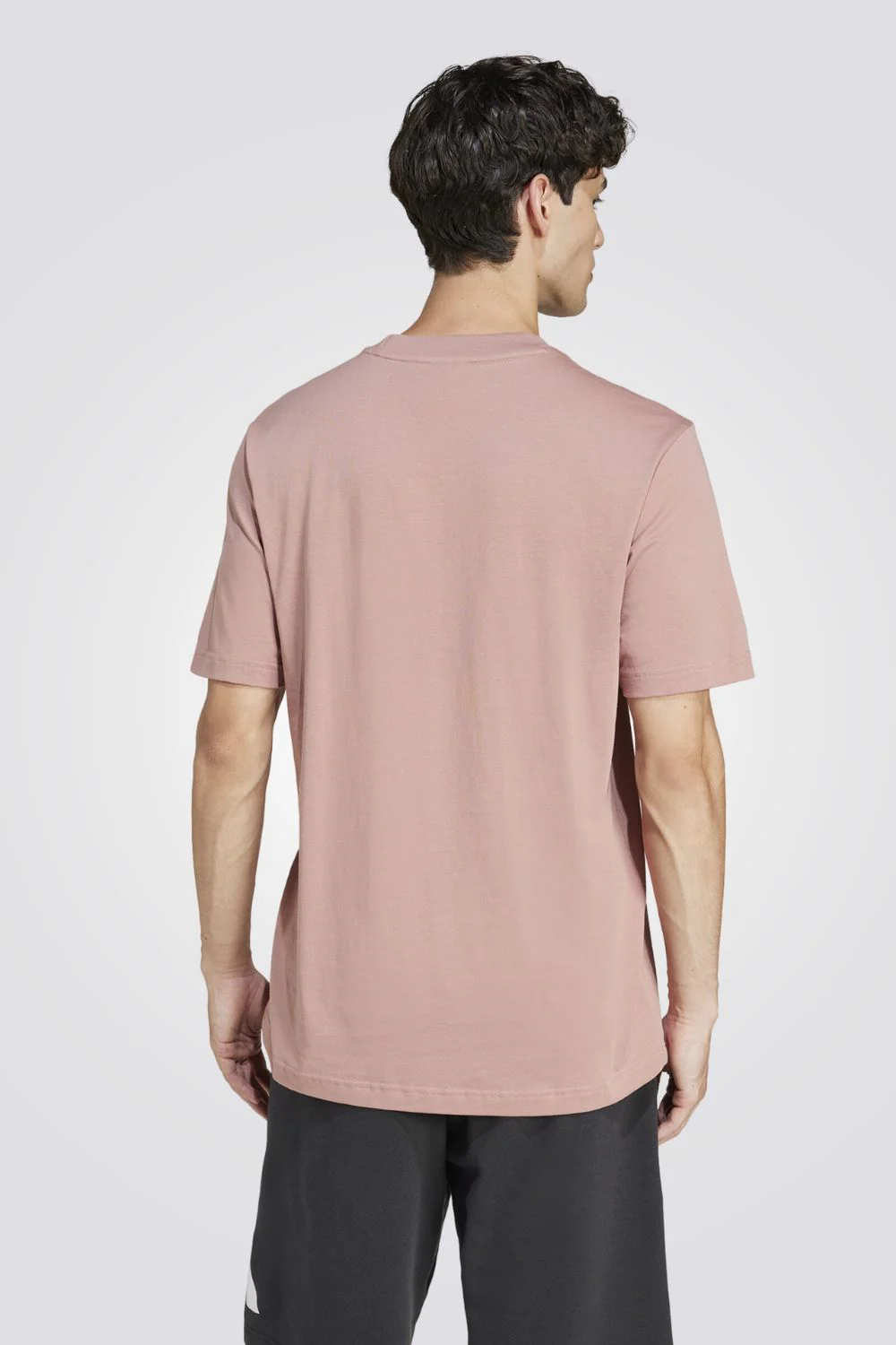 תמונה ממוזערת 2