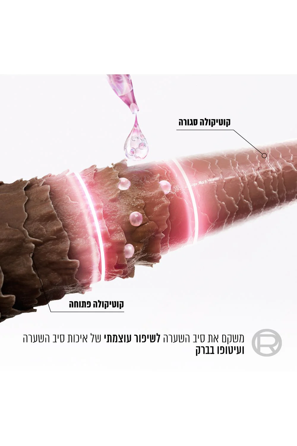 תמונה ממוזערת 3