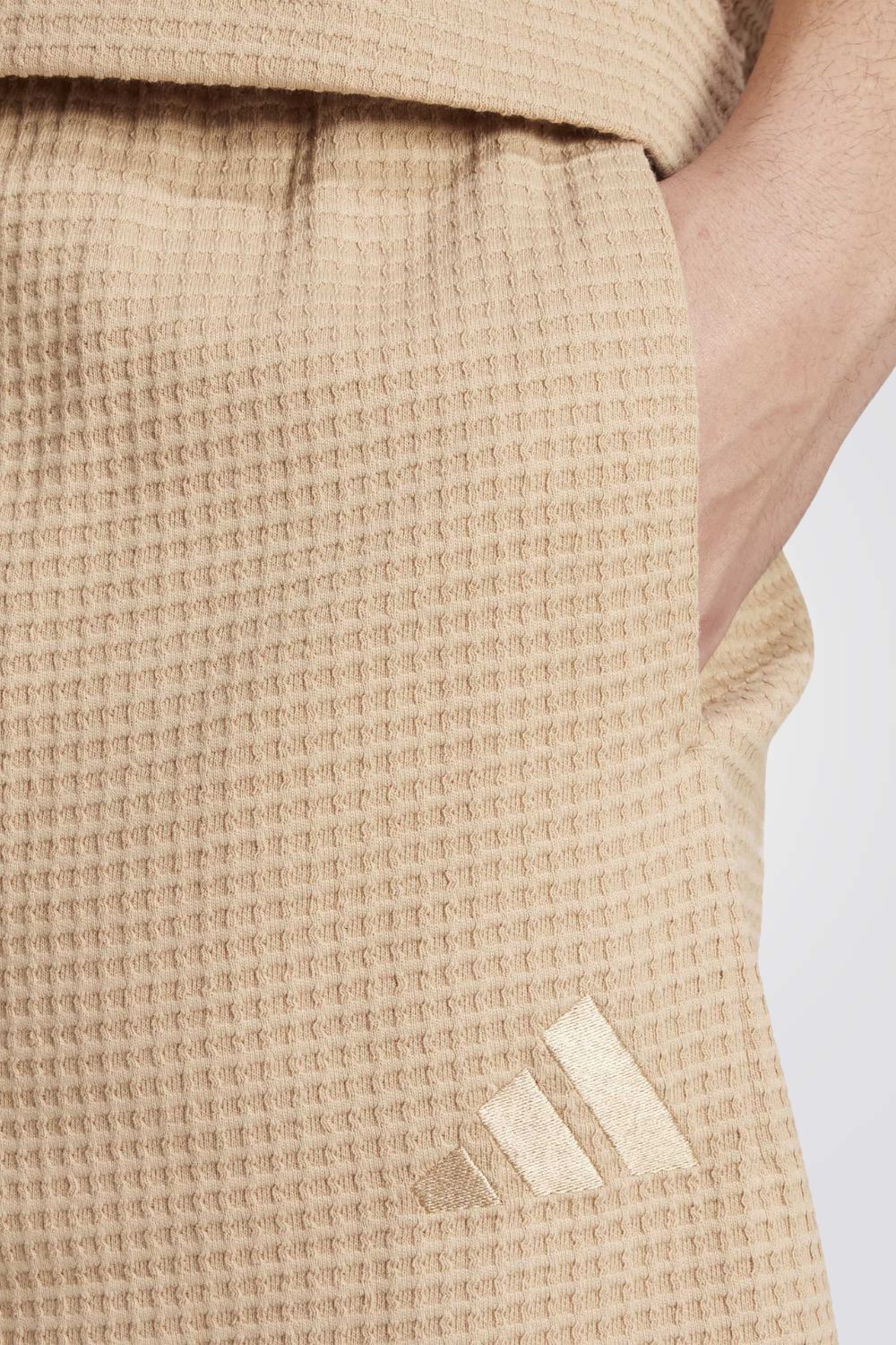 תמונה ממוזערת 3